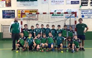 MOINS DE 11G DENGUIN - ASSON