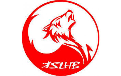 ST LOUBES