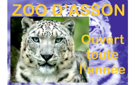 Zoo d'Asson