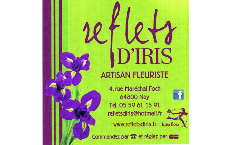 Reflets d'iris